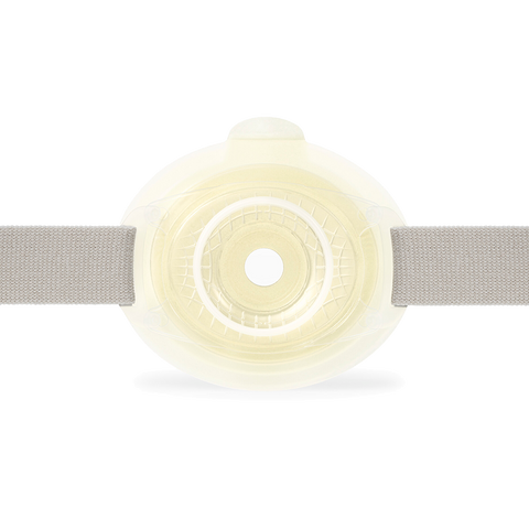 Coloplast Brava Mio Belt Standard Size 155CM (61IN)