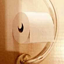 PLUS Toilet Paper Holder + Grab Bar