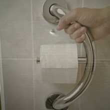 PLUS Toilet Paper Holder + Grab Bar