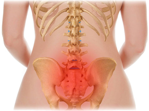 Petite Lumbosacral Support
