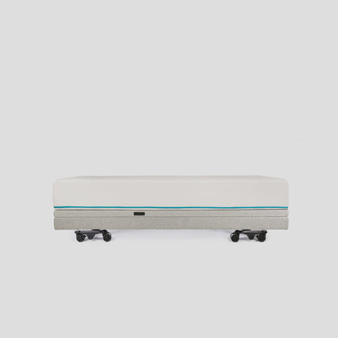 Sophia 4 Adjustable bases